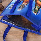 Fermuarlı OEM Logo Baskılı Soğutucu Çanta Öğle Yemeği Piknik Bez Çanta